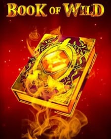 Book Of Wild