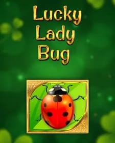 Lucky Lady Bug
