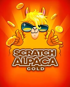 Scratch Alpaca Gold