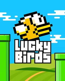 Lucky Birds