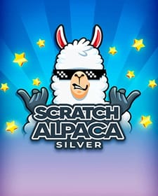 Scratch Alpaca Silver