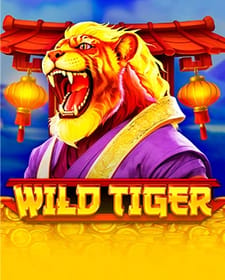 Wild Tiger