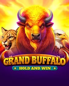 Grand Buffalo Hold and Win
