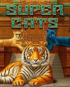Super Cats