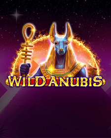 Wild Anubis