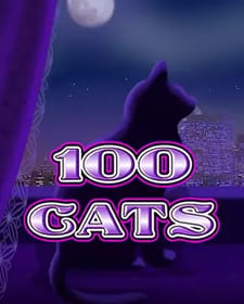 100 Cats
