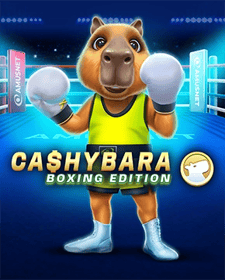 Cashybara Boxing Edition