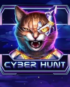 Cyber Hunt