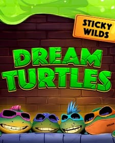 Dream Turtles: Sticky Wilds