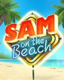 Sam on the Beach