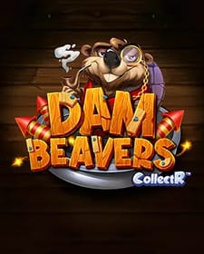 Dam Beavers