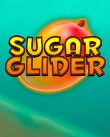 Sugar Glider