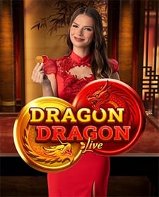 Dragon Dragon