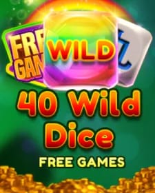 40 Wild Dice