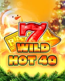 Wild Hot 40 Christmas