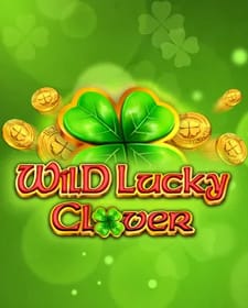 Wild Lucky Clover