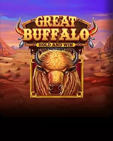 Great Buffalo Hold’n Win