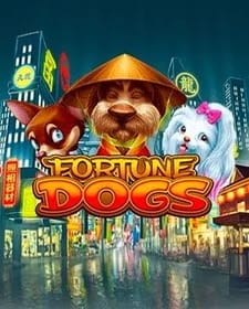 Fortune Dogs