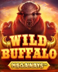 Wild Buffalo Megaways