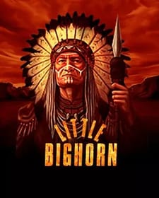 Little Bighorn