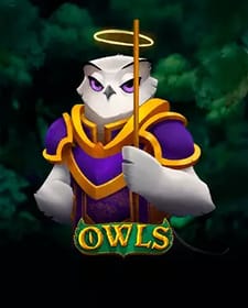 Owls