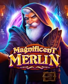 Magnificent Merlin