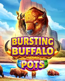 Bursting Buffalo Pots