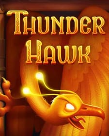 Thunderhawk