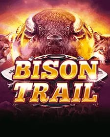 Bison Trail