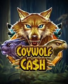 Coywolf Cash