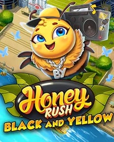 Honey Rush Black and Yellow