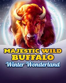 Majestic Wild Buffalo - Winter Wonderland