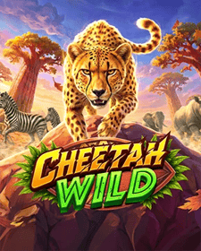 Cheetah Wild