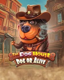 The Dog House – Dog or Alive
