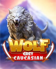 Caucasian Grey Wolf