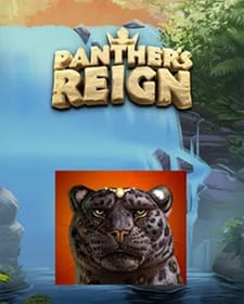 Panther's Reign