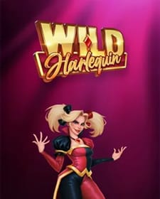 Wild Harlequin