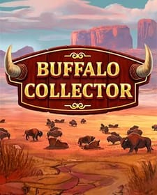 Buffalo Collector