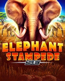Elephant Stampede SE