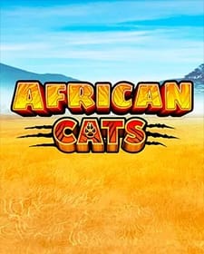 African Cats