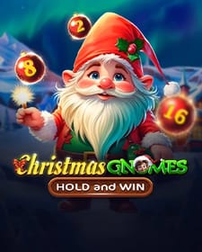 Christmas Gnomes