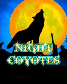Night Coyotes