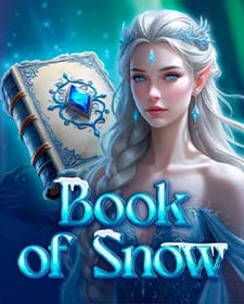 Book of Snow