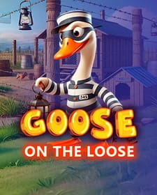 Goose on the loose
