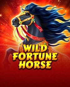 Wild Fortune Horse