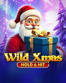 Wild Xmas - Hold & Hit