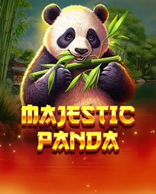 Majestic Panda