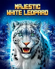 Majestic White Leopard