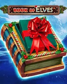 Book Of Elves