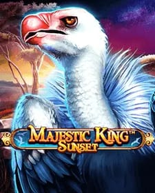 Majestic King - Sunset 